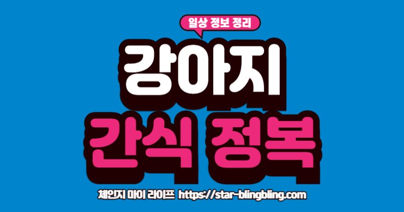 "2025년 강아지 간식 추천 리스트에 있는 건강한 간식을 먹고 있는 강아지"