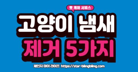 고양이 집안 냄새 없애는 자연 방법 5가지 인포그래픽