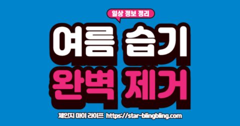 "여름철 습기 제거를 위해 제습기와 천연 제습제를 활용하는 모습"