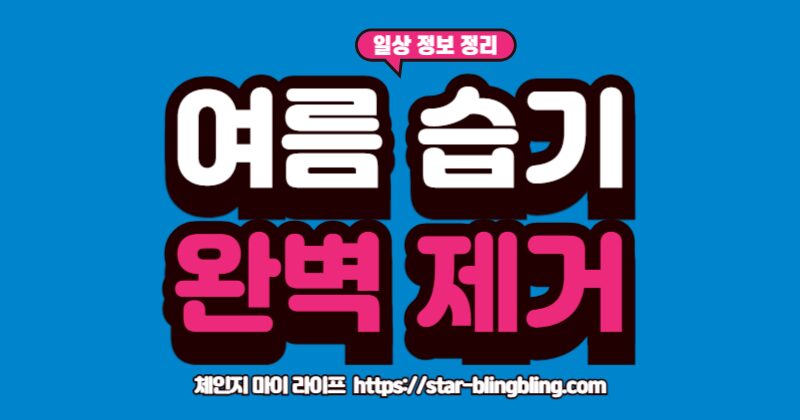 여름철 습기 제거 완벽 가이드: 5가지 핵심 비법 "여름철 습기 제거를 위해 제습기와 천연 제습제를 활용하는 모습"