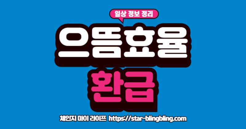 으뜸효율 가전제품 환급 로고와 1등급 에너지 효율 라벨이 붙은 냉장고, 세탁기, 에어컨 이미지.