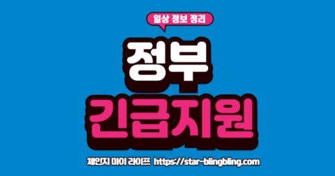 "2025년 정부지원 긴급복지 생계지원금 신청 방법을 알아보고 있는 사람"