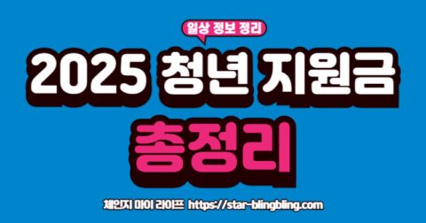 2025년 청년 지원금 종류와 혜택을 정리한 내용