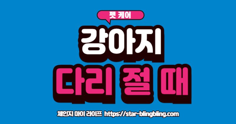 강아지가 갑자기 다리를 저는 이유를 걱정하며 다리를 살피는 보호자의 손