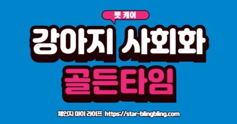 강아지 사회화 시기의 중요성을 보여주듯, 새끼 강아지가 세상을 호기심 어린 눈으로 바라보는 모습