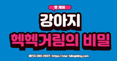 아지가 헥헥거리는 이유 중 하나인 체온 조절을 위해 행복하게 헥헥거리는 강아지
