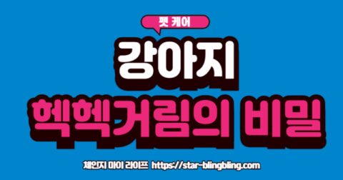 아지가 헥헥거리는 이유 중 하나인 체온 조절을 위해 행복하게 헥헥거리는 강아지