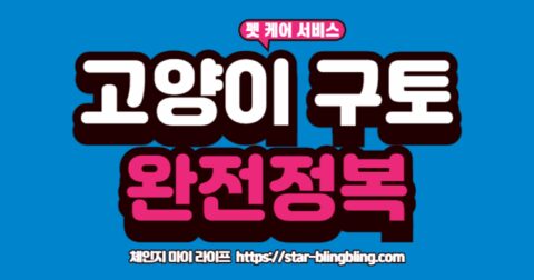 고양이 구토 집사가 바닥에 구토한 고양이의 상태를 걱정스럽게 살피는 모습