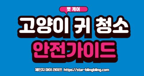 초보 집사가 전문가의 가이드에 따라 안전하게 고양이 귀 청소를 해주는 모습