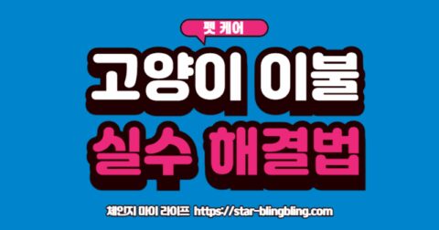 고양이가 이불에 실수한 것을 보고 걱정스럽게 원인을 고민하는 집사