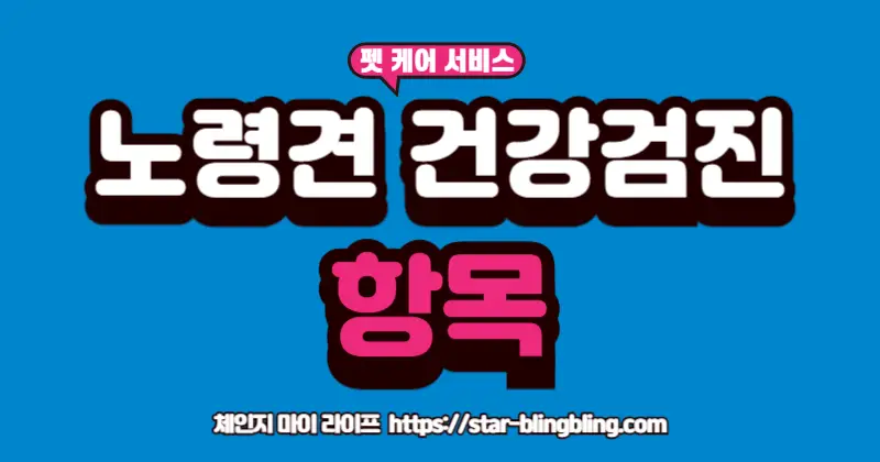 노령견 정기 건강검진을 받고 있는 강아지와 보호자