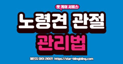 푹신한 방석에 누워있는 노령견과 노령견 관절 영양제 제품 모습