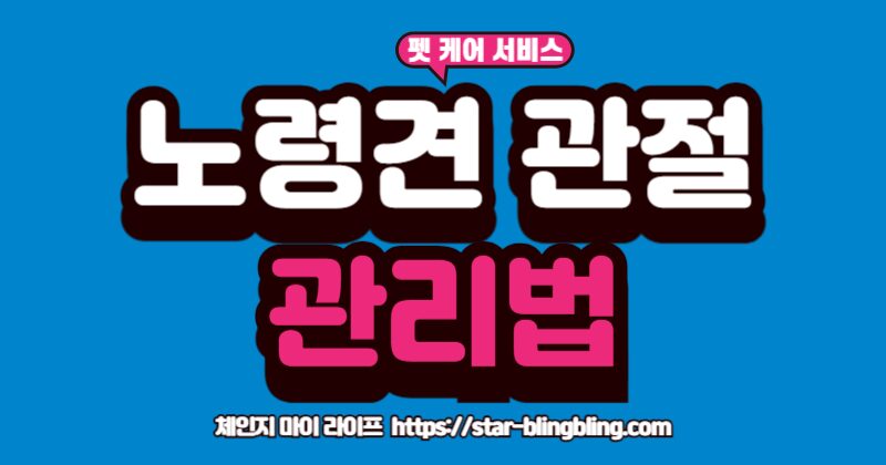 푹신한 방석에 누워있는 노령견과 노령견 관절 영양제 제품 모습