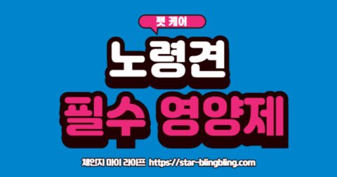 주인이 건네는 노령견 영양제를 사랑스러운 눈으로 바라보는 나이 든 강아지