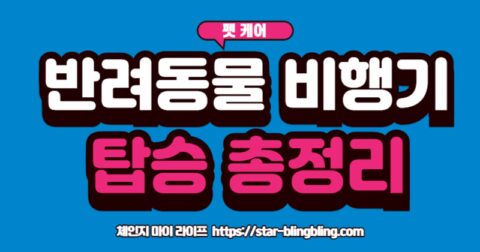 반려동물 비행기 탑승을 위해 이동 가방에 들어있는 강아지와 주인 여권