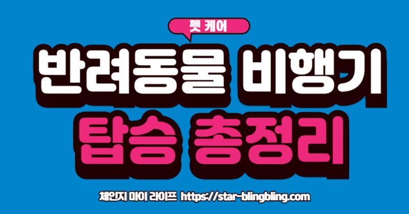 반려동물 비행기 탑승을 위해 이동 가방에 들어있는 강아지와 주인 여권