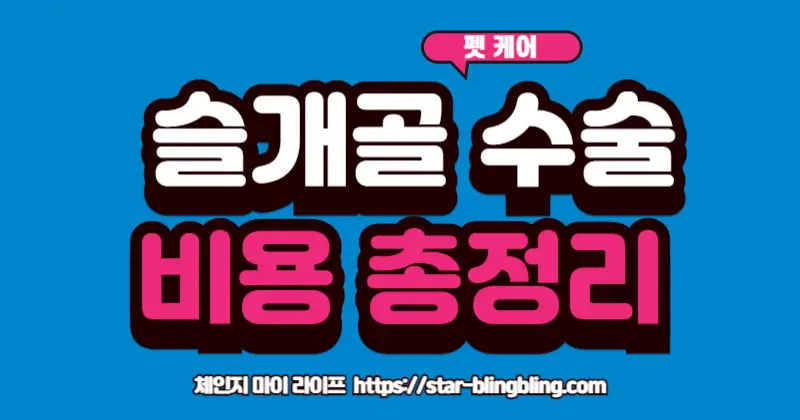 강아지 슬개골 탈구 수술 비용에 대해 수의사와 상담하는 보호자