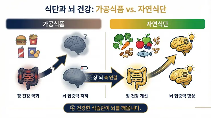 최신 건강 식단 트렌드 분석, 제로 슈거 열풍을 잇는 차세대 식사 전략 장 건강 식단이 전신 대사 및 뇌 활성화에 미치는 영향을 설명하는 인포그래픽 이미지