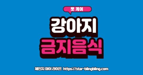 "강아지 먹으면 안되는 음식인 포도와 초콜릿"