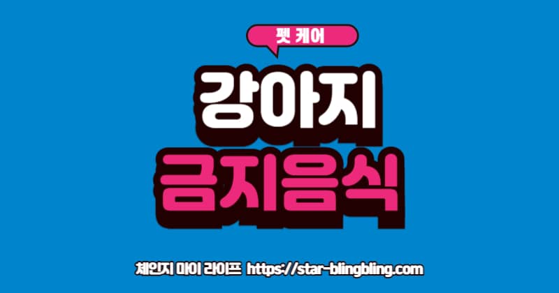 "강아지 먹으면 안되는 음식인 포도와 초콜릿"