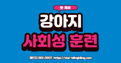 강아지 사회화 훈련'을 통해 손님에게 간식을 받아먹는 강아지의 모습