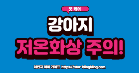 "강아지가 전기장판 위에서 불편한 듯 낑낑거리는 모습과, 안전한 반려동물 전용 매트에서 편안하게 잠든 모습이 대비되는 이미지"