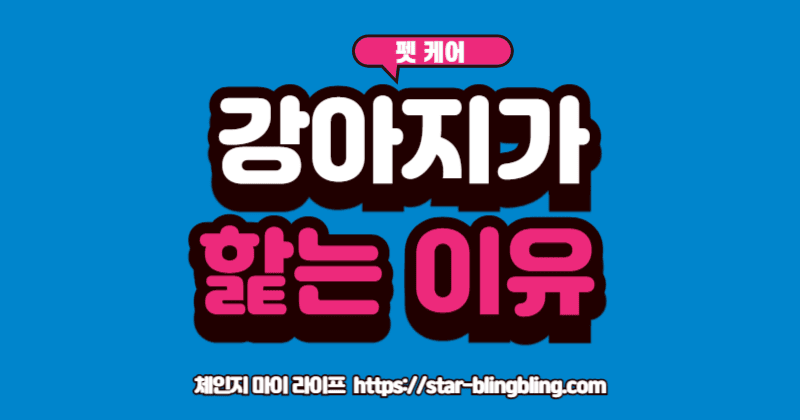 강아지가 핥는 이유'에 대한 여러가지 의미를 보여주는 말풍선과 강아지