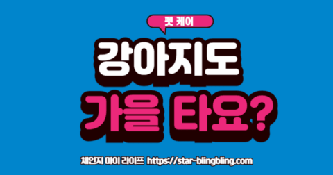 "창밖 낙엽을 보며 시무룩하게 엎드려 있는 강아지와, 보호자와 함께 햇볕 아래서 즐겁게 산책하는 강아지의 모습이 대비되는 이미지"