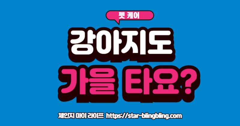 "창밖 낙엽을 보며 시무룩하게 엎드려 있는 강아지와, 보호자와 함께 햇볕 아래서 즐겁게 산책하는 강아지의 모습이 대비되는 이미지"