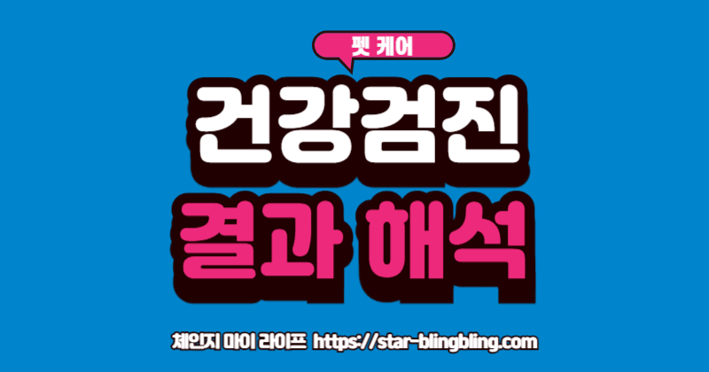 수의사와 보호자가 '강아지 고양이 건강검진' 결과표를 함께 보며 상담하는 모습