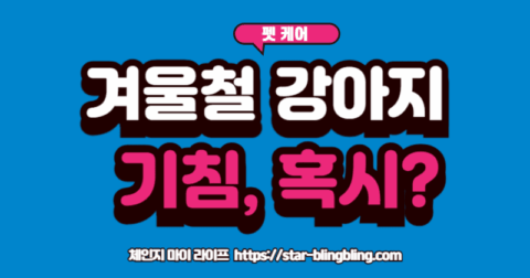 "추운 겨울 배경 속에서 강아지가 거위 소리처럼 기침하는 모습과, 동물병원에서 수의사에게 심장 청진을 받는 모습이 교차되는 이미지"