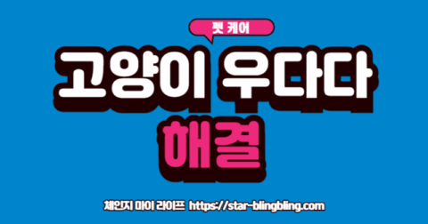 고양이 우다다'를 멈추게 하는 효과적인 낚싯대 사냥 놀이 방법