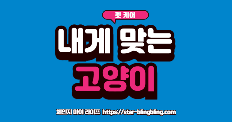 여러 '고양이 종류' 아이콘 중에서 자신의 짝을 찾고 있는 예비 집사의 모습