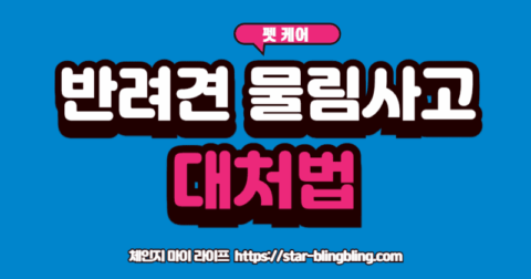 반려동물 법률 상식'이라고 적힌 책을 읽으며 반려견의 안전을 지키는 보호자