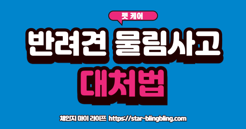 반려동물 법률 상식'이라고 적힌 책을 읽으며 반려견의 안전을 지키는 보호자