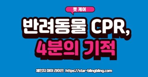 "보호자가 쓰러진 강아지에게 심폐소생술(CPR)을 하는 방법(가슴 압박, 인공호흡)을 단계별로 보여주는 인포그래픽 이미지"