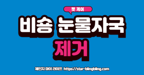 비숑 눈물 자국' 관리법을 통해 깨끗해진 눈가로 웃고 있는 비숑 프리제