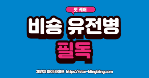 비숑 유전병' 예방을 위해 건강검진을 받고 있는 비숑 프리제의 모습