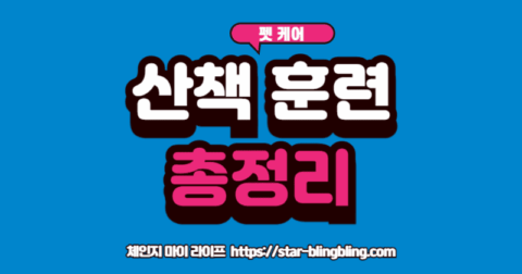 강아지 산책 훈련' 성공 전후: 한쪽은 강아지에게 끌려다니며 힘들어하는 보호자, 다른 쪽은 '리드줄 훈련'에 성공하여 강아지와 나란히 여유롭게 산책하는 보호자의 모습