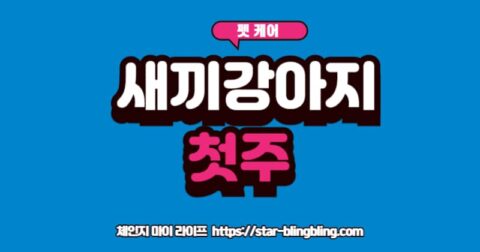 "새끼 강아지 첫 1주일 동안 안전한 울타리 안에서 쉬고 있는 귀여운 아기 강아지"