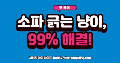 "망가진 소파 앞에서 울상 짓는 집사와, 캣닢이 뿌려진 스크래처를 신나게 긁는 고양이와 웃는 집사의 모습이 대비되는 이미지 (고양이 스크래처 훈련법)"