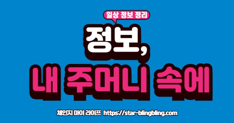 "나중에 읽기 서비스인 Pocket 활용법을 통해, 인터넷의 좋은 글과 기사를 효과적으로 스크랩하고 관리하여 생산성을 높이는 방법"