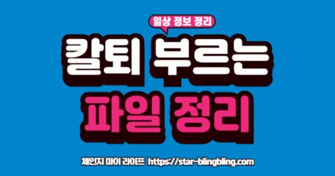 "컴퓨터 파일 정리를 통해 디지털 미니멀리즘을 실천하고, 복잡한 생각을 정리하여 생산성을 높이는 방법"