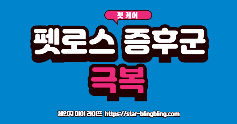 펫로스 증후군'을 겪는 사람이 무지개다리를 건넌 반려동물을 추억하는 모습