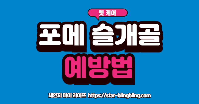 포메라니안 슬개골 탈구' 예방을 위해 보호자에게 마사지를 받는 강아지