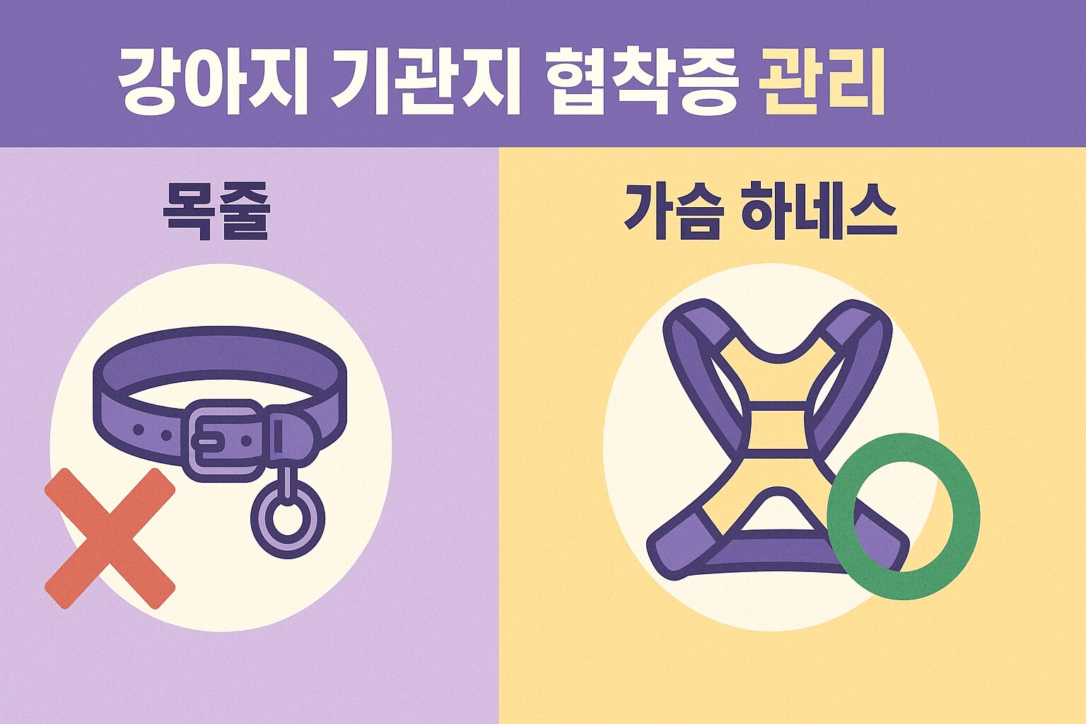 강아지 기관지 협착증 초기 증상 관리를 위해 목줄(X)과 하네스(O)를 비교하는 인포그래픽