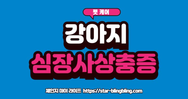 강아지 심장사상충증 예방의 중요성 및 3단계 관리법