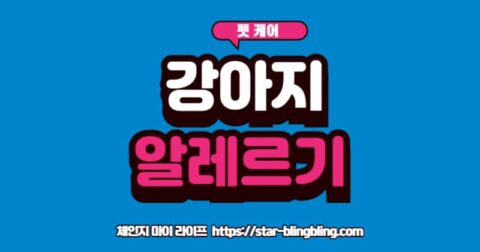 강아지 알레르기 원인 재료와 수의사가 말하는 TOP 5