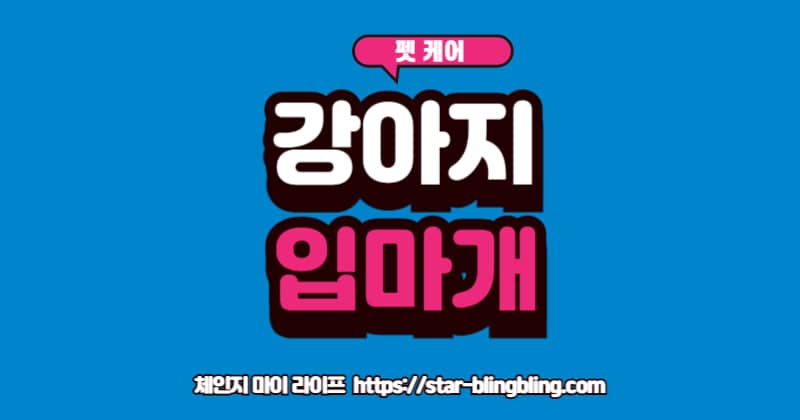 강아지 입마개 법적 기준과 긍정 훈련법