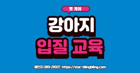 강아지 입질 교육 실패 후기 및 올바른 훈육법 가이드